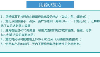 食品工廠如何徹底消滅蟑螂？專家分享實用方法與運營策略